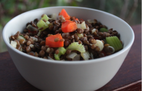 🟠 ✅  Braised French Style Lentils
