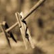 A sepia-toned image featuring a wooden clothespin on a clothesline outdoors.